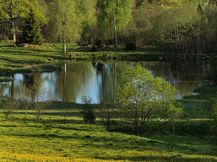 Landskap vår.jpg